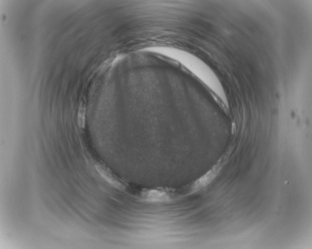 X0000085230180200704092007