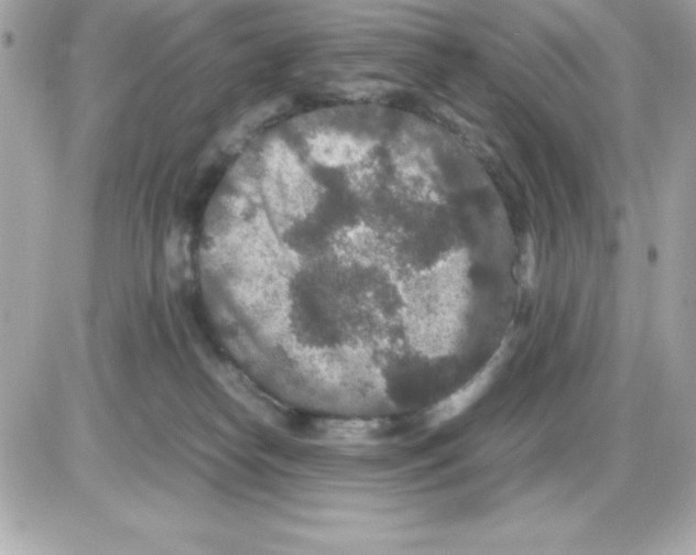 X0000085230182200704092007