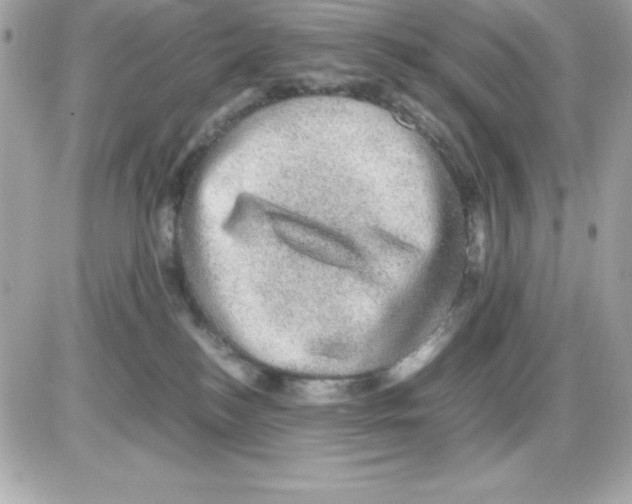 X0000085230184200704092007