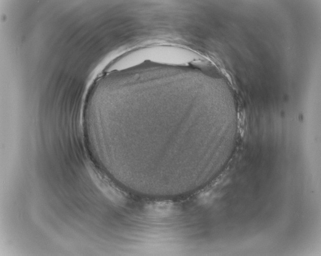 X0000085230196200704092006