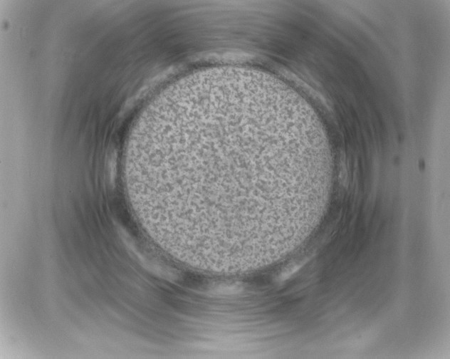 X0000085230206200704092006