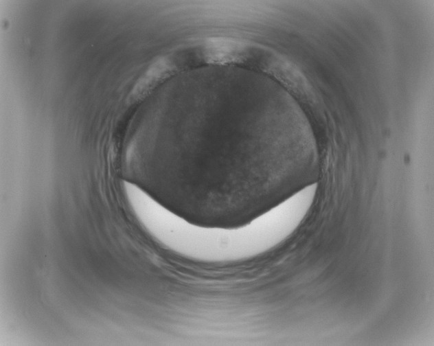 X0000085230219200704092006