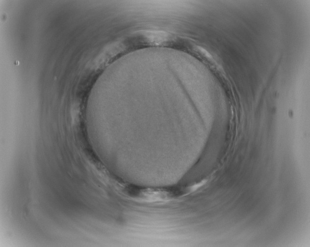 X0000085230221200704092006