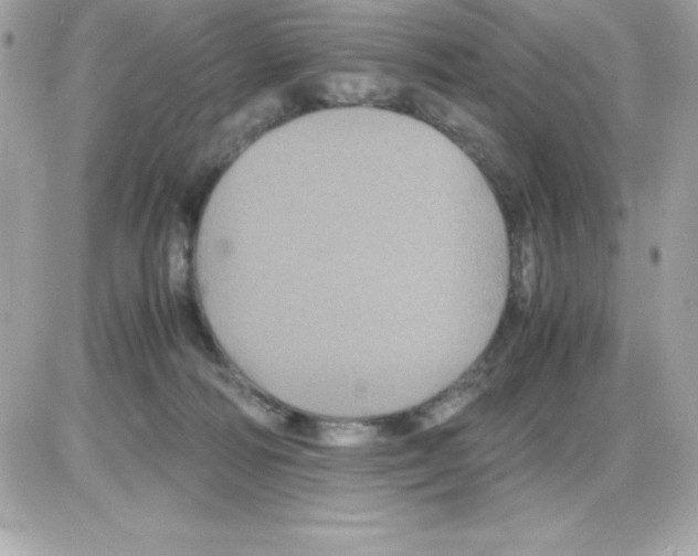 X0000085230226200704092006