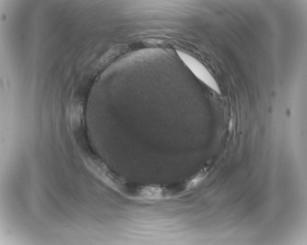 X0000085230227200704092006