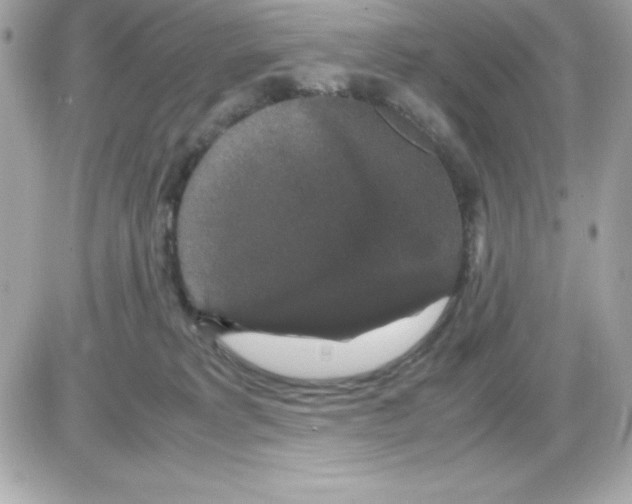 X0000085230229200704092006