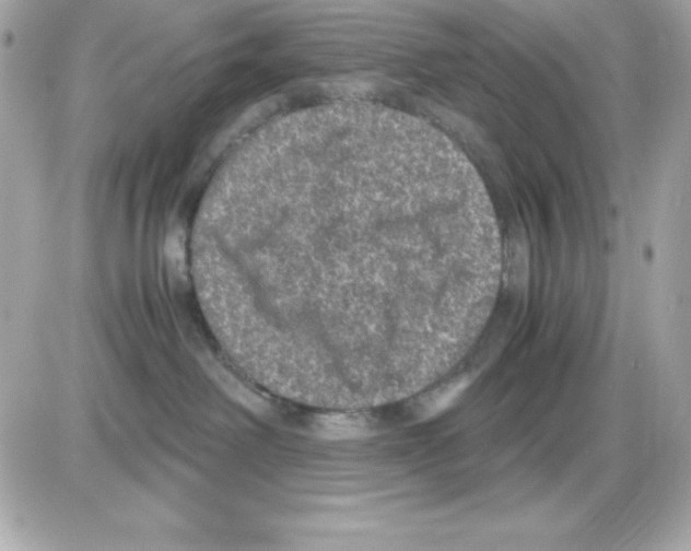 X0000085230238200704092005
