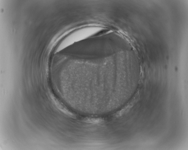 X0000085230247200704092005