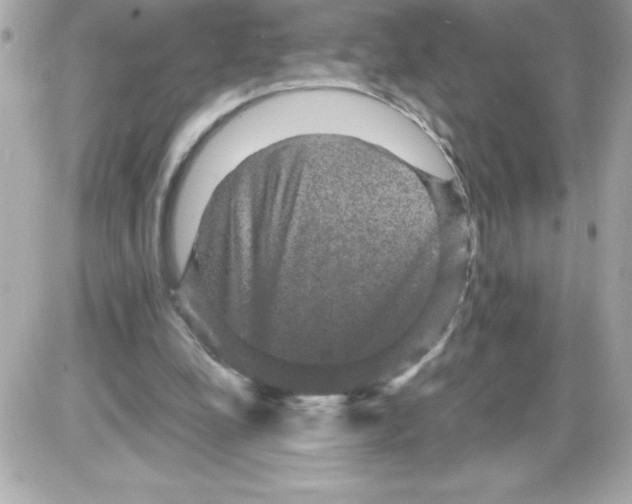 X0000085230248200704092005