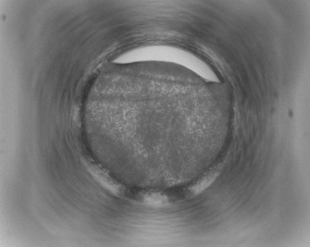 X0000085230258200704092005