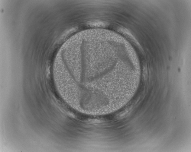 X0000085230259200704092005