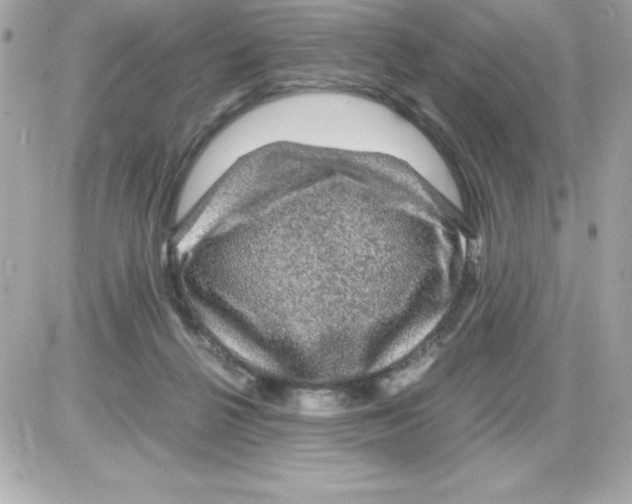 X0000085230264200704092005
