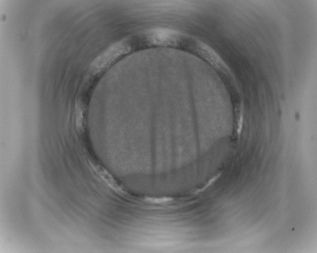 X0000085230266200704092005