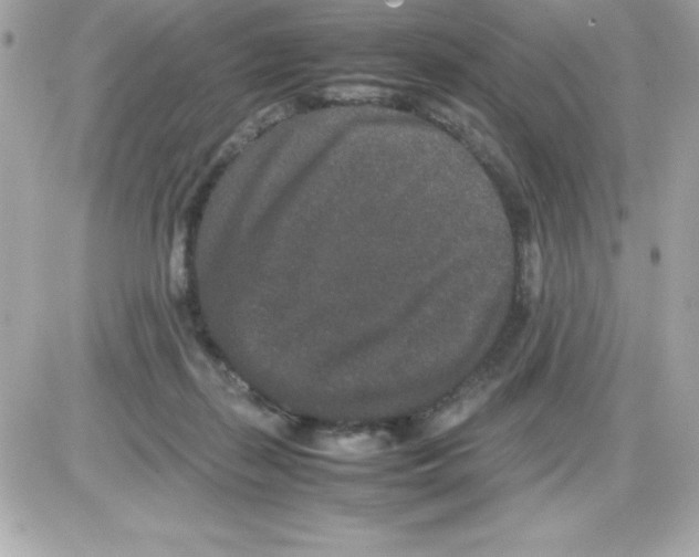 X0000085230267200704092005