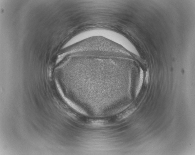 X0000085230268200704092005