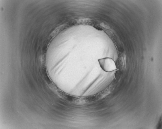 X0000085230276200704092005