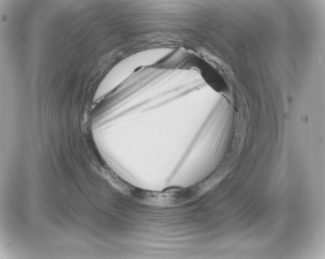 X0000085230288200704092005