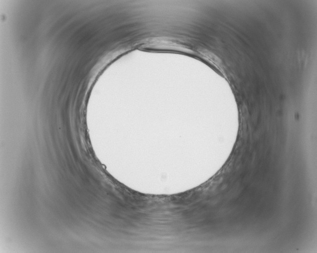 X0000085230289200704092005