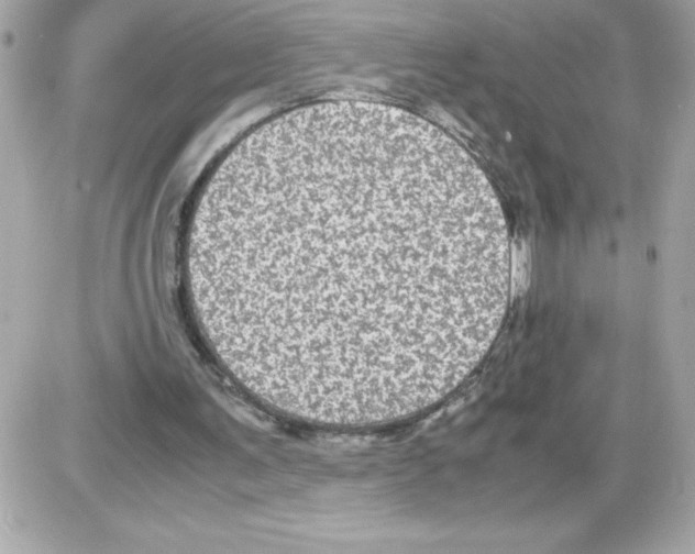 X0000085230291200704092005