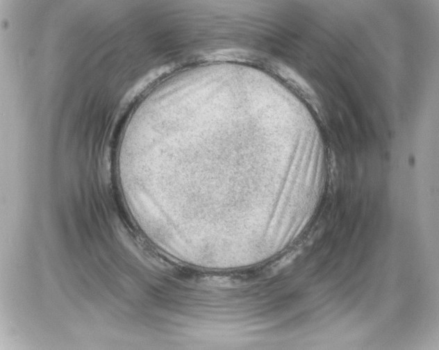 X0000085230298200704092004
