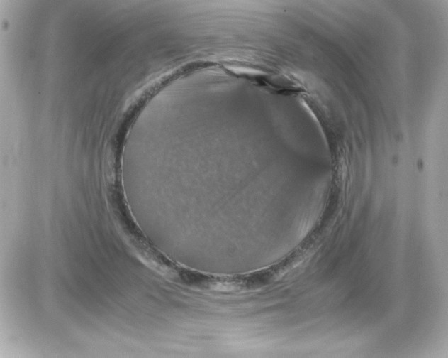 X0000085230303200704092004