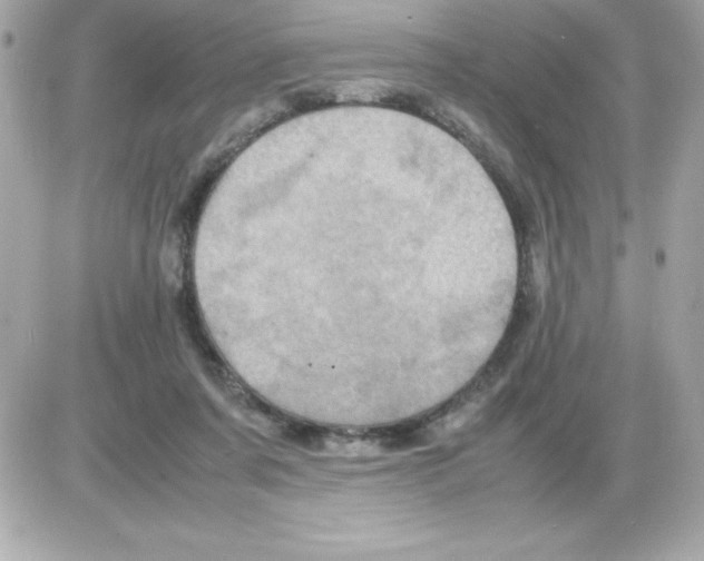 X0000085230311200704092004