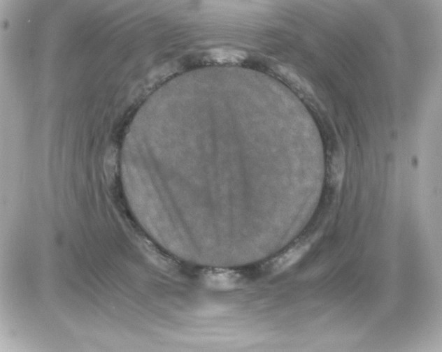 X0000085230321200704092004