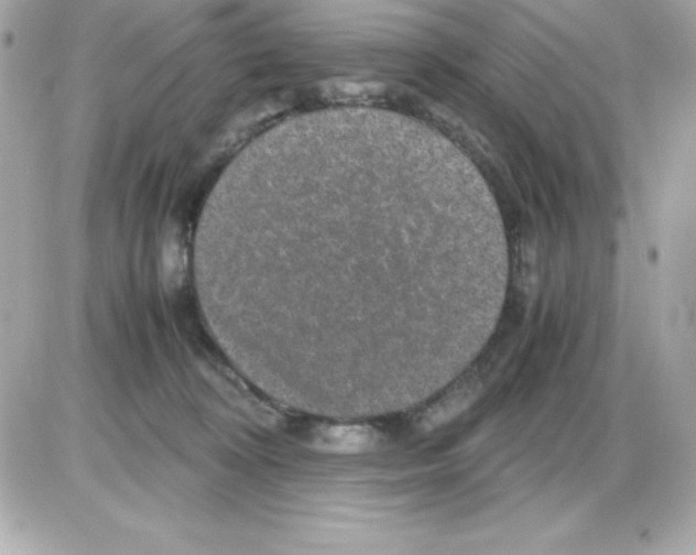 X0000085230324200704092004