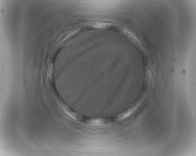 X0000085230325200704092004