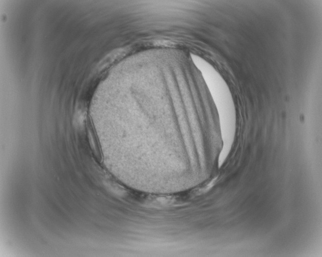 X0000085230329200704092004