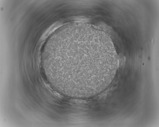 X0000085230339200704092003