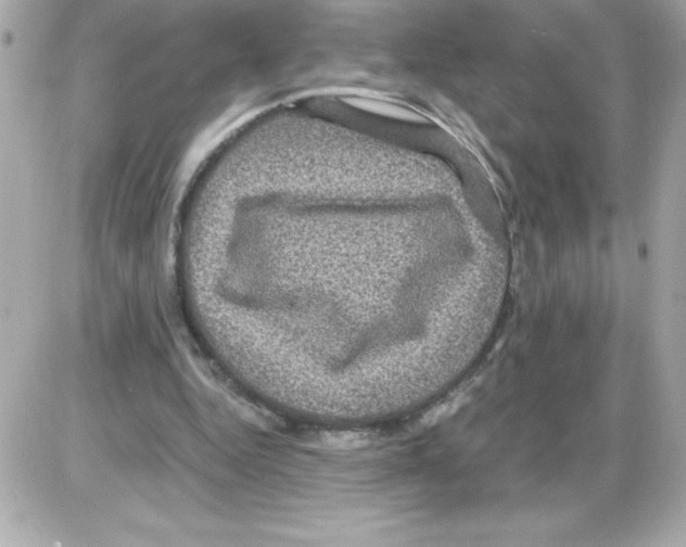 X0000085230344200704092003