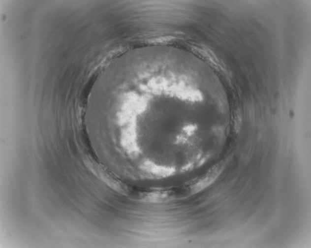 X0000085230366200704092004