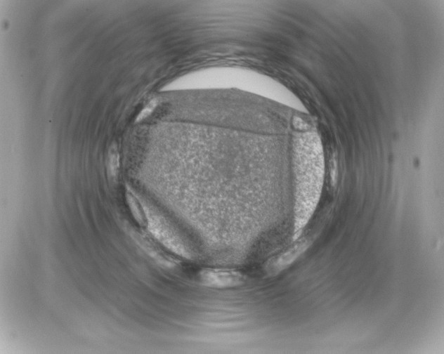 X0000085230372200704092004