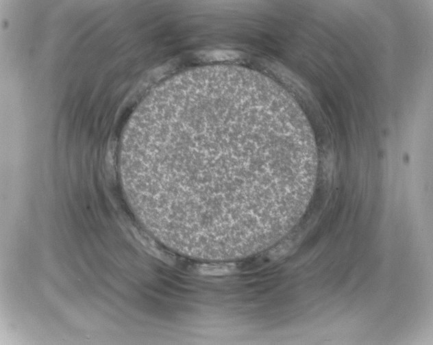 X0000085230373200704092004