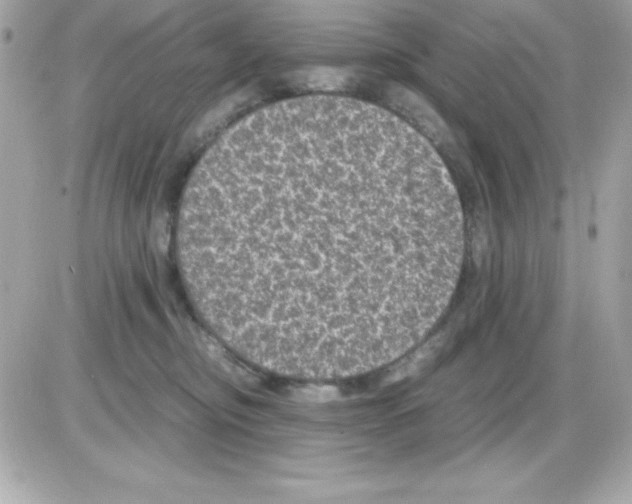 X0000085230374200704092004