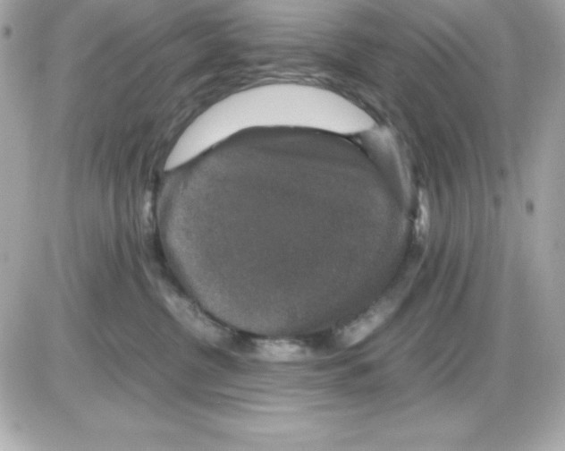 X0000085230380200704092004