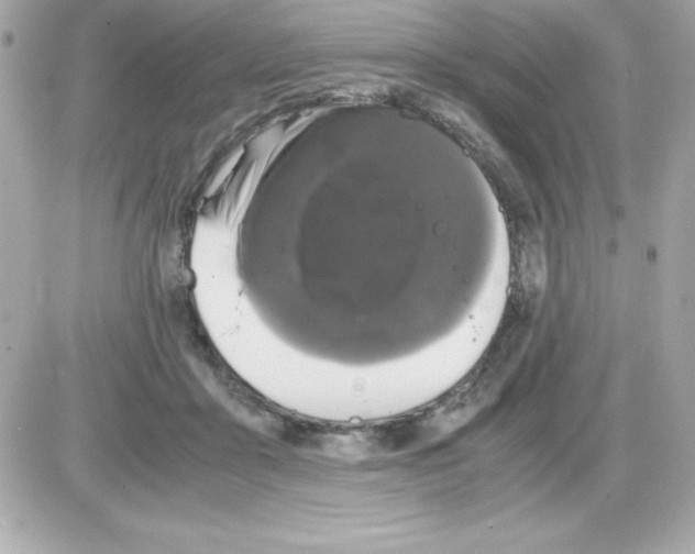 X0000085230411200704092003