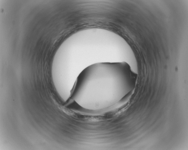 X0000085230412200704092002