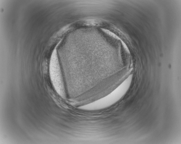 X0000085230413200704092002