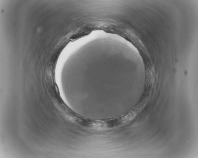 X0000085230415200704092002