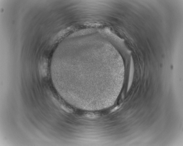 X0000085230416200704092002