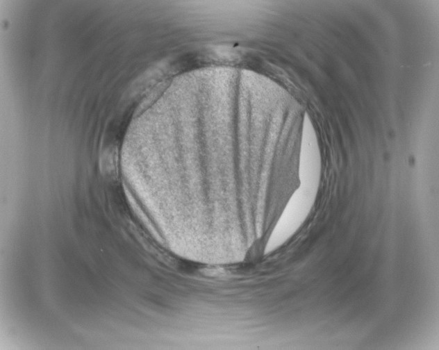 X0000085230425200704092002