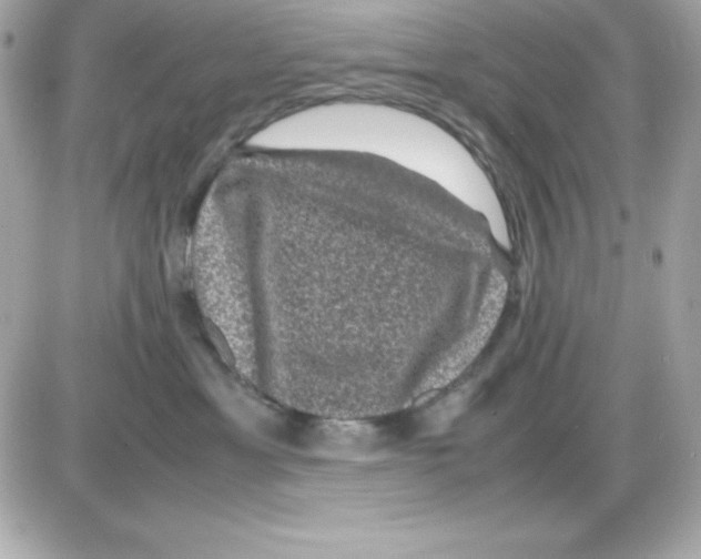 X0000085230429200704092002