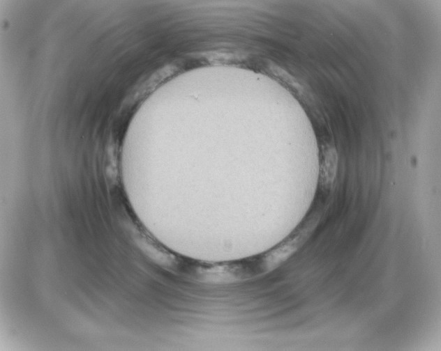 X0000085230430200704092002