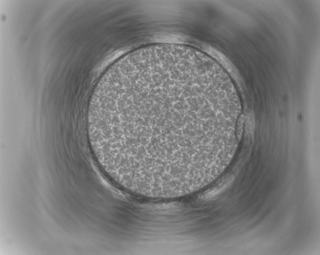X0000085230433200704092001