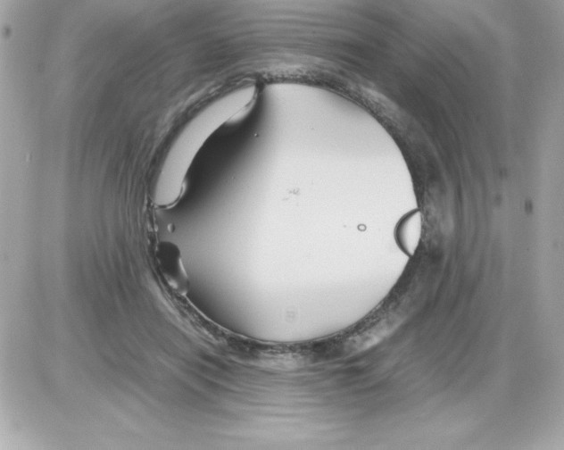 X0000085230454200704092002