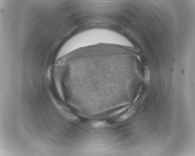 X0000085230456200704092002