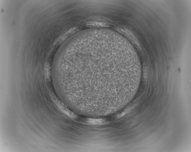 X0000085230457200704092002
