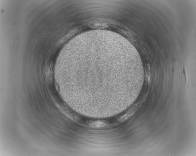 X0000085230460200704092002